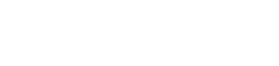 Bradley-Simmonds-Online-Coaching-Logo-Light